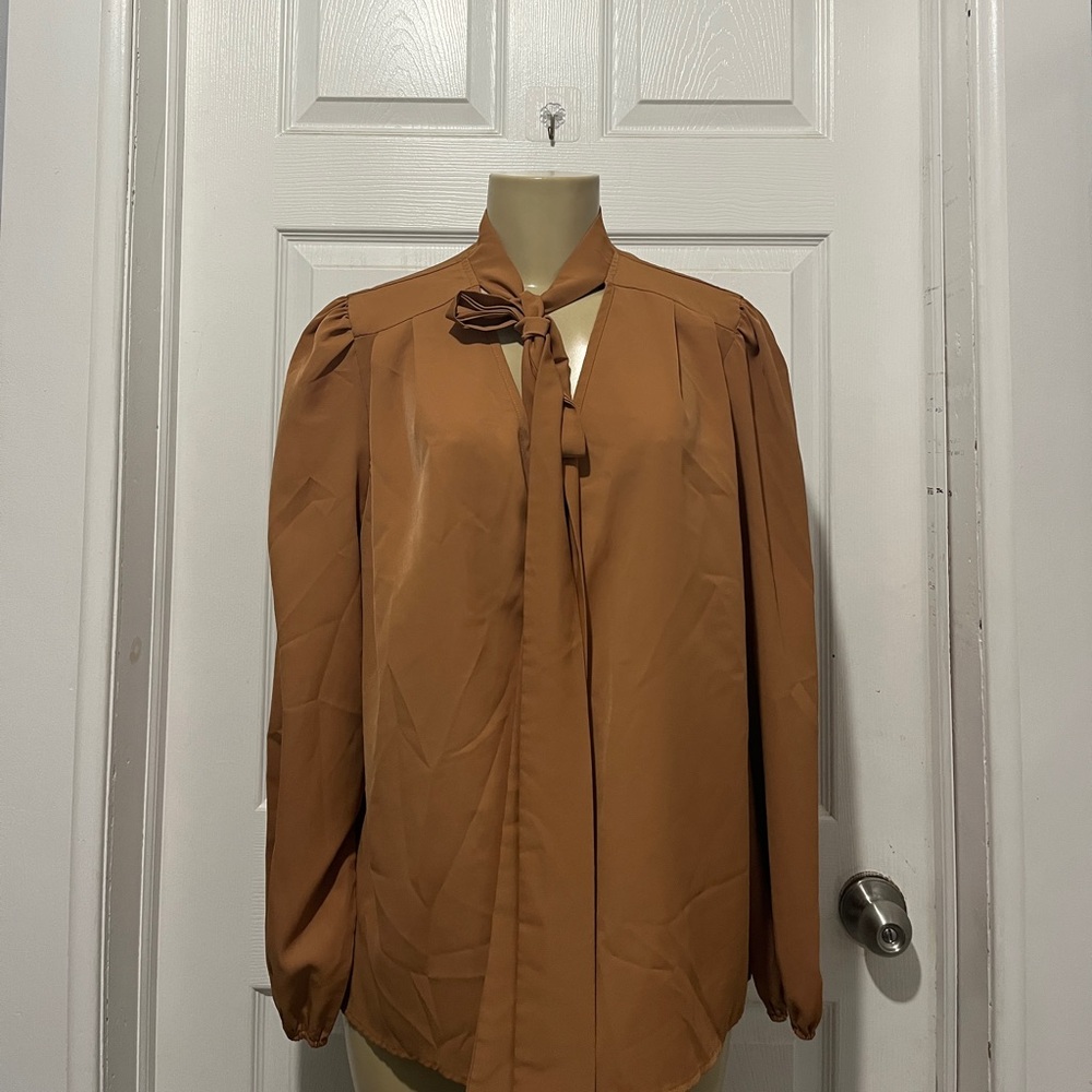 SHEIN Brown Blouse
